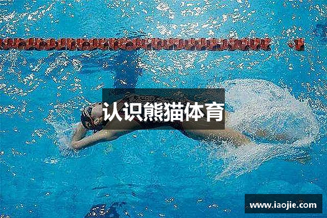 认识熊猫体育